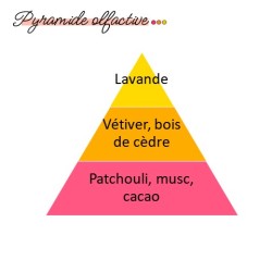 Pyramide olfactive Vétiver et Patchouli