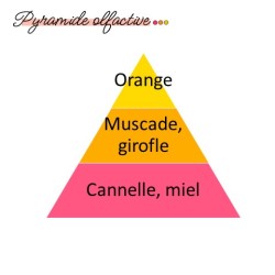 Pyramide olfactive Pain d'épices